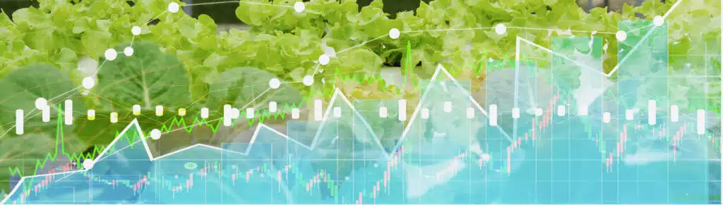 shutterstock 1636861174