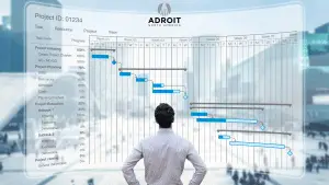 Realizing the value of ERP Planning