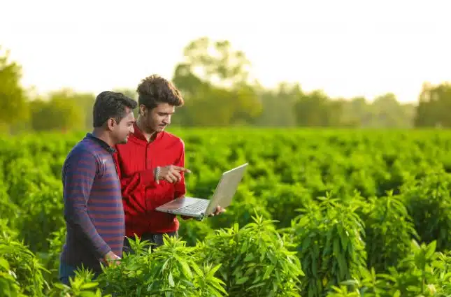 Agriculture ERP for Improved Performance