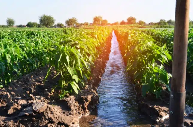 Agriculture and Farming erp