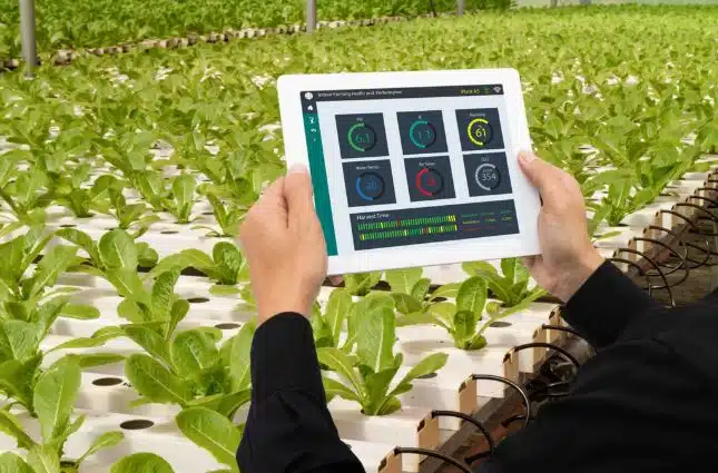 An Industry Focus on Crop and Orchard Management Systems