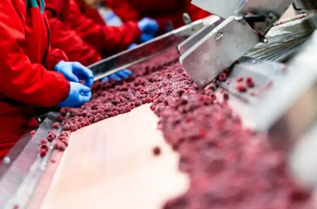Frozen Food