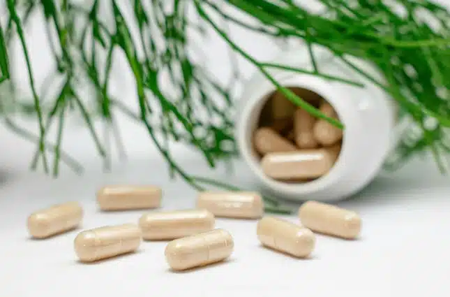 Nutraceuticals