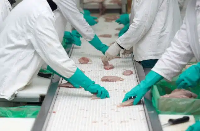 Structured Poultry Management Flocks Houses Systems