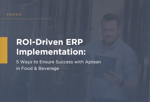 ROI-Driven ERP Implementation
